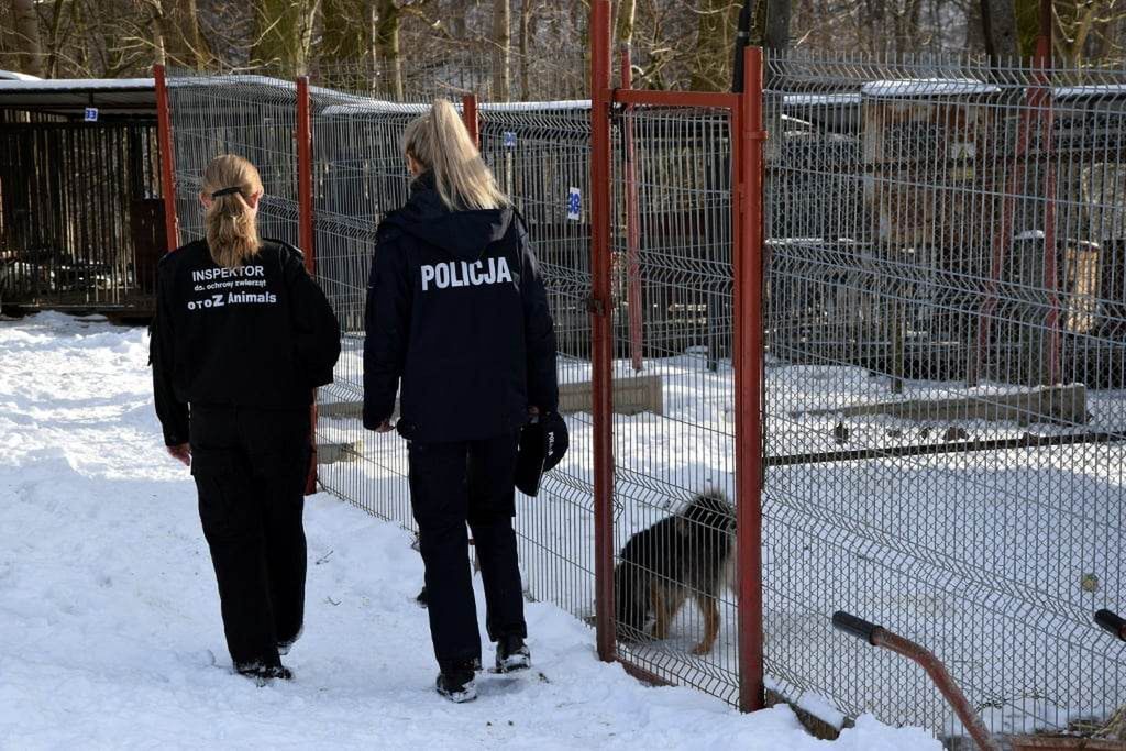 Policjantka Iga Sozoniuk współpracuje ze schroniskami dla zwierząt