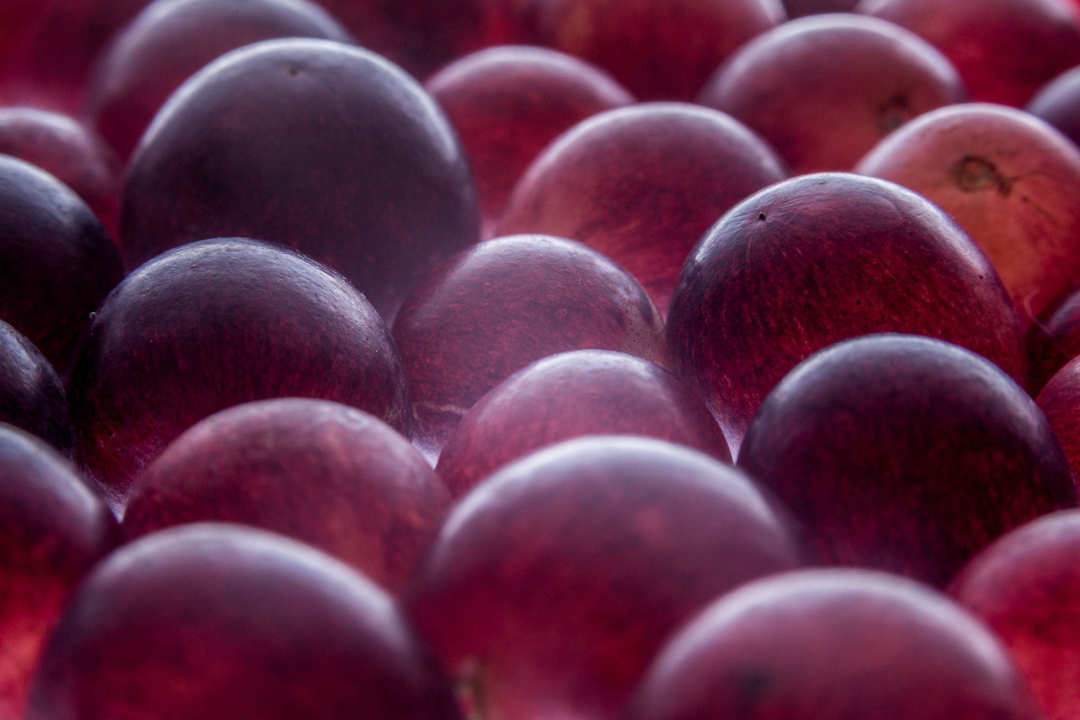 Grape abstract
Abstract grapes pattern background on backlit.Abstract grapes pattern background on backlit.
uuoott
Brightly Lit, Large Group of Objects, Textured, Organic, Color Image, Freshness, Circle, Dark, Red, Purple, Pattern, Crowded, Back Lit, Studio Shot, Macro, Close-up, Directly Above, Grape, Fruit, Crop, Plant, Season, Sweet Food, Food