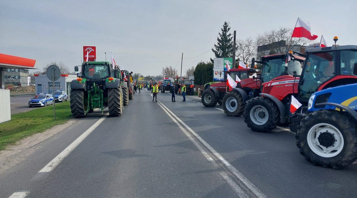 fot. za: Codzienny Poznań