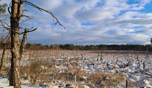 Nowe dopłaty dla rolników od 2026 r. Oto kto może się starać