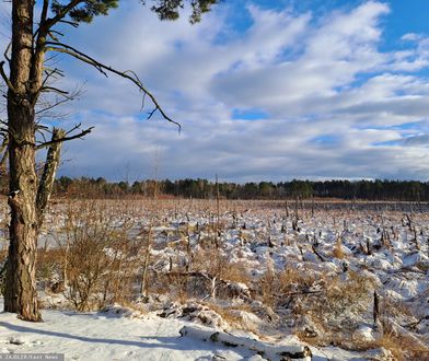 Nowe dopłaty dla rolników od 2026 r. Oto kto może się starać