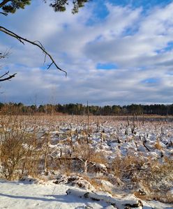 Nowe dopłaty dla rolników od 2026 r. Oto kto może się starać