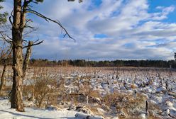 Nowe dopłaty dla rolników od 2026 r. Oto kto może się starać