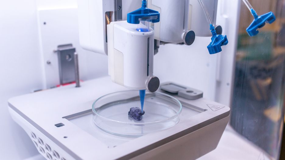 A 3D printing machine works on a test print of a scaled down ear in the Axolotl Biosciences lab at the University of Victoria in Victoria, British Columbia, Canada, on Wednesday, Sept. 7, 2022. The company's mission is to provide turn-key reagents, including bioinks, 3D tissue models, and consulting services in the field of 3D bioprinting to advance the field of tissue engineering and regenerative medicine. Photographer: James MacDonald/Bloomberg via Getty Images