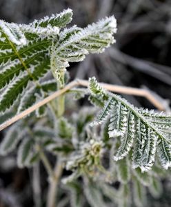 Pogoda znów płata figla. IMGW wydaje ostrzeżenie dla części kraju