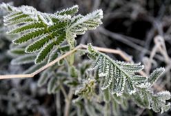 Pogoda znów płata figla. IMGW wydaje ostrzeżenie dla części kraju