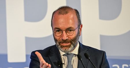 Poseł PiS odleciał o Weberze. "Język propagandy hitlerowskiej"