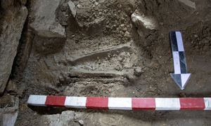 Mogła umrzeć przed ślubem. Jej kości odkryto pod kościołem w Bytomiu