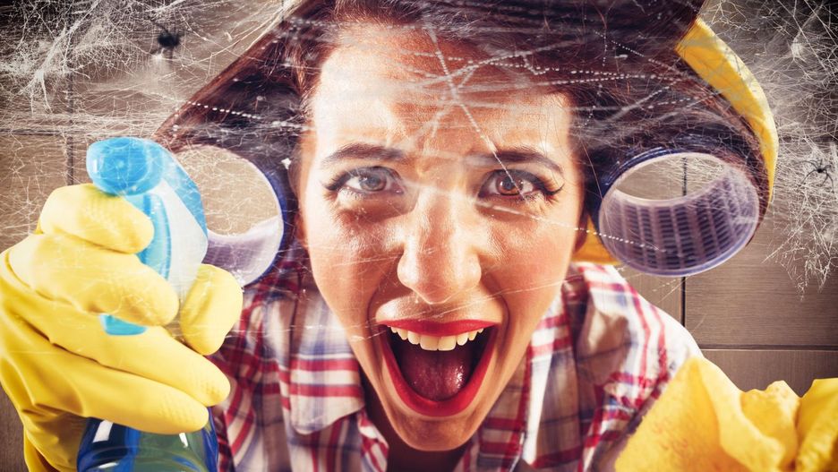 walka z pająkami [123rf.com]