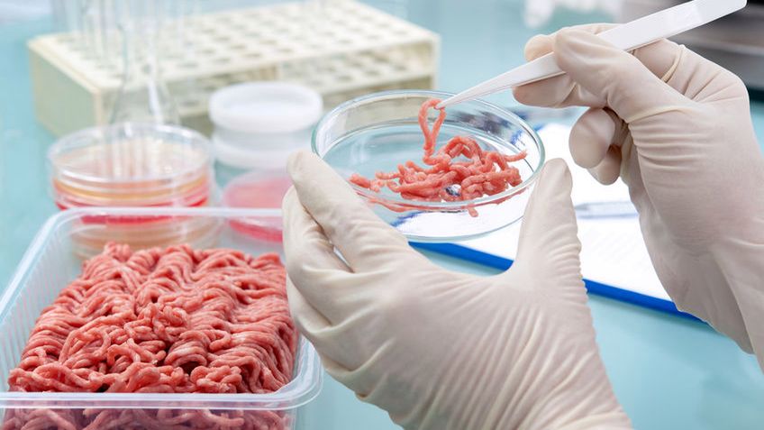 Mięso z antybiotykami? Według prawa w Polsce jest zakazane. Czy umowa CETA to zmieni?