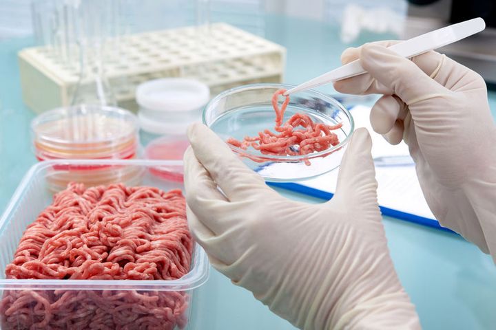 Mięso z antybiotykami? Według prawa w Polsce jest zakazane. Czy umowa CETA to zmieni?