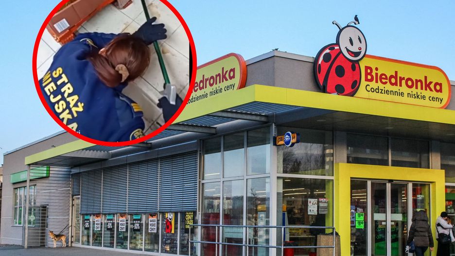 Akcja w markecie. Na pomoc z gryzoniem wezwano służby