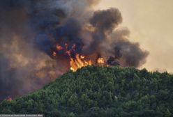 Porażające dane z Grecji. Pożar pochłonął ogromny obszar