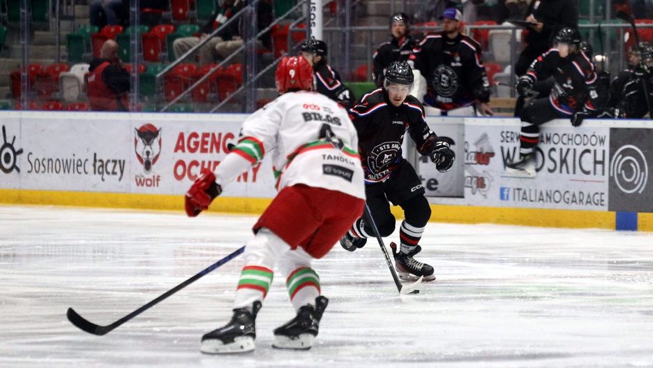 Zagłębie Sosnowiec - STS Sanok hokej
