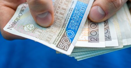 Udane łowy oszustów. Polacy stracili co najmniej 300 mln zł m.in. przez fałszywe reklamy na Facebooku
