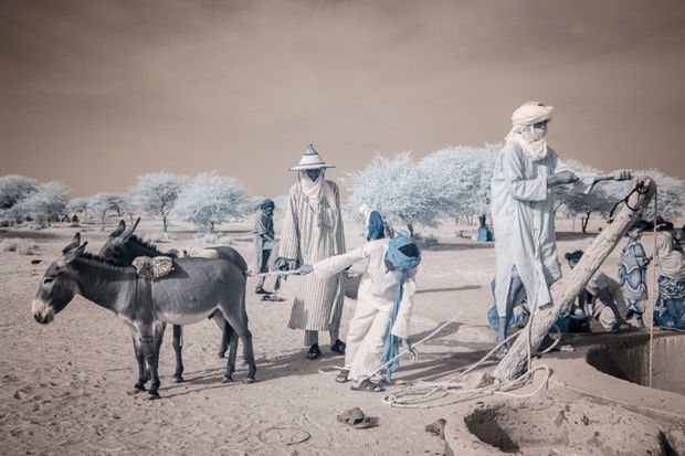 Terri Gold fotografuje święto koczowniczych plemion Wodaabe w podczerwieni 8