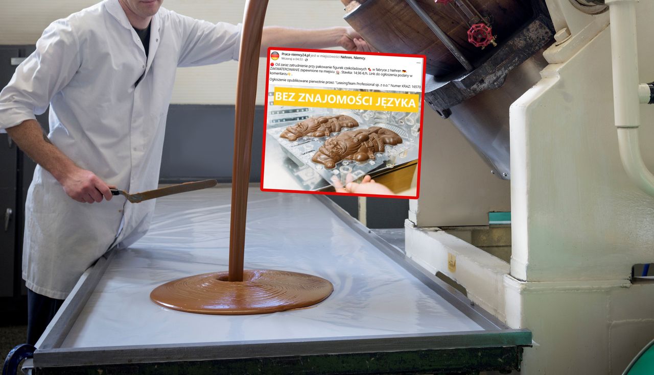 Niemcy podali, ile płacą. Natychmiastowe reakcje Polaków