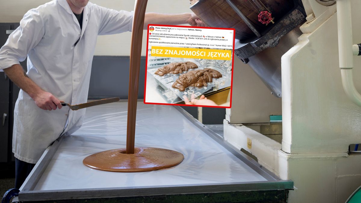 Niemcy szukają do pracy. Padła stawka.