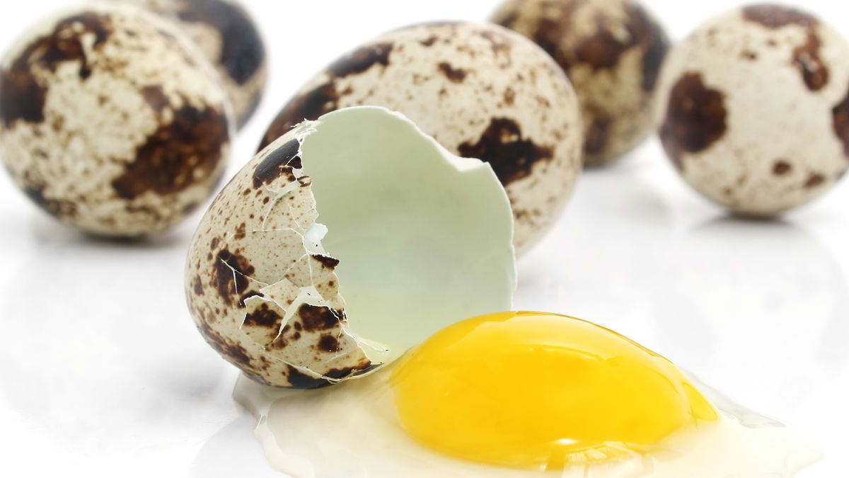 Jaja przepiórcze są zdrowsze od kurzych