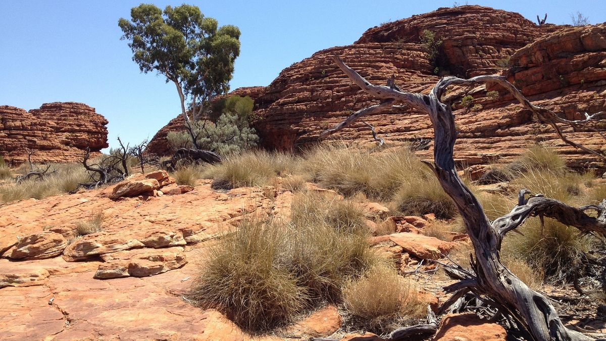 Pożar może trawić wnętrze góry w Australii od kilku tysięcy lat