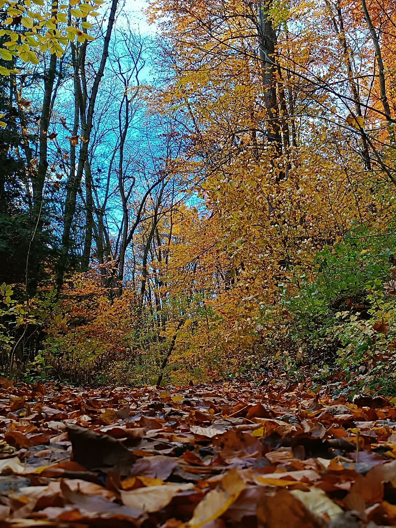 Ojcowski Park Narodowy