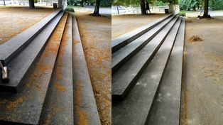 Poznań: Niewidzialna praca, widoczny efekt. Kto dba o Park Wilsona?