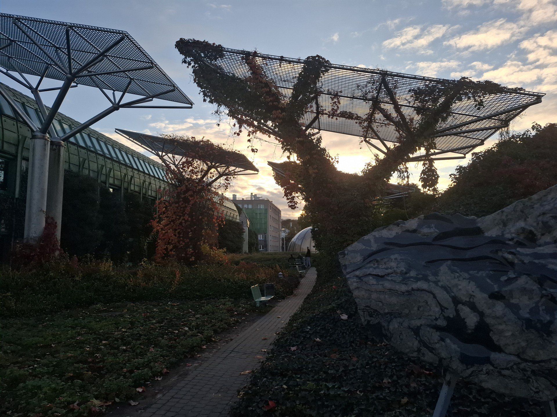 Jesień w Ogrodach BUW