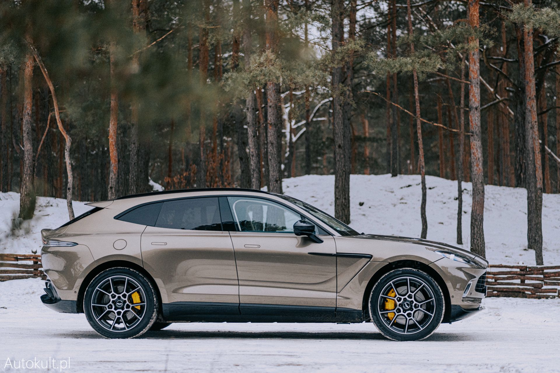 Aston Martin DBX (2022)