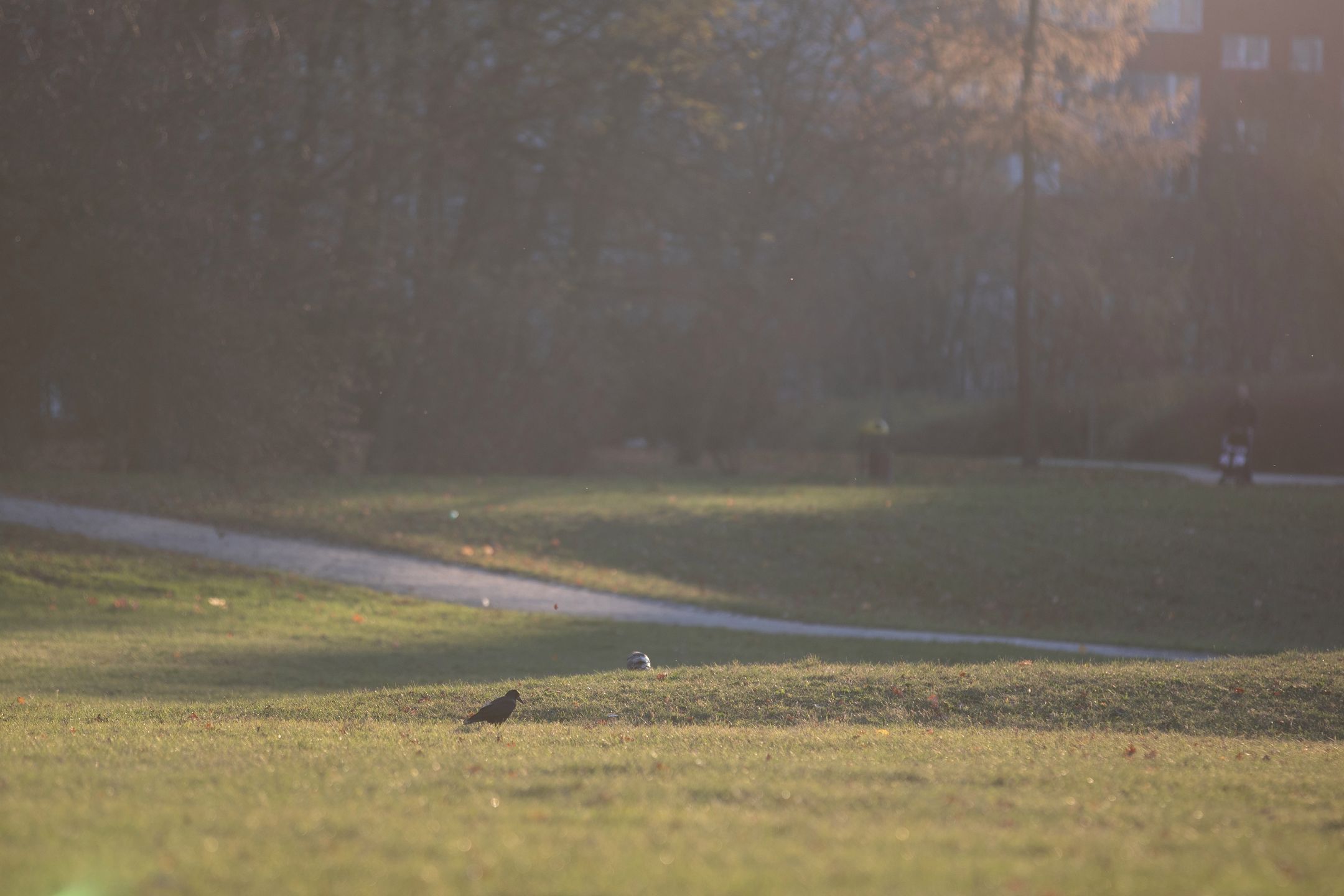 Canon EF 70-200 mm f/2.8L IS III USM - odświeżona wersja świetnego obiektywu [test] 35