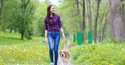 Slow walking z psem – nowa moda czy powrót do natury?