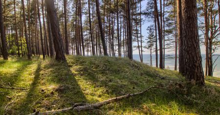 Urlop w Krynicy Morskiej. Ten hotel to znacznie więcej niż nocleg przy plaży