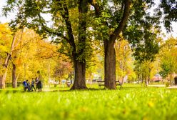 Warszawa. Nowe oblicze parku Michałowskiego