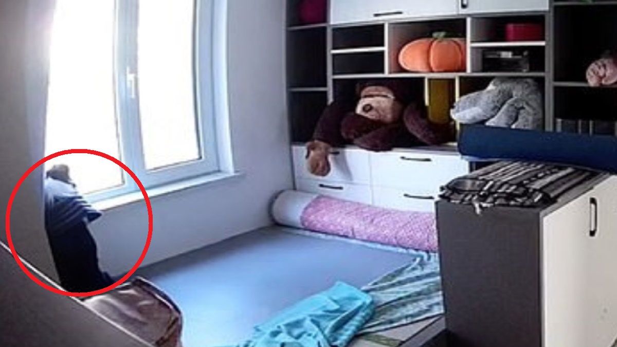 Pies przez dziesięć godzin wypatrywał powrotu swojej właścicielki