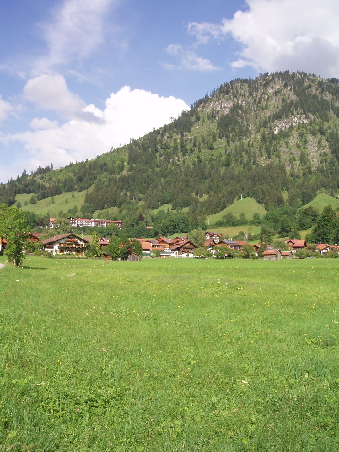 Obraz