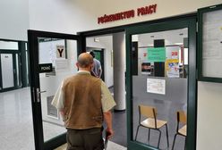 Praca dla bezrobotnych