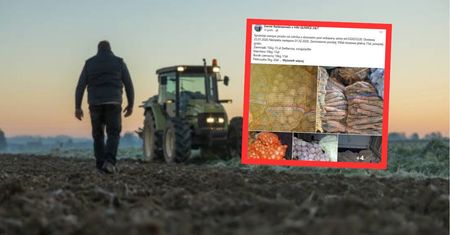 Rolnik handluje nawet zimą. 1 kg za 1 zł. Takich cen w markecie nie zobaczysz
