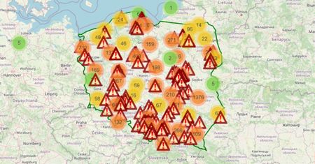 50 kleszczy za jednym razem. Polacy mówią szczególnie o dwóch regionach