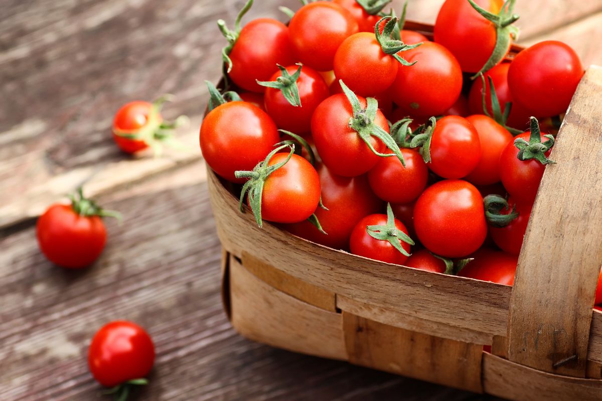 Niewielu wie, że pomidory można mrozić. Ale tylko jedna metoda jest dobra, by zachowały smak