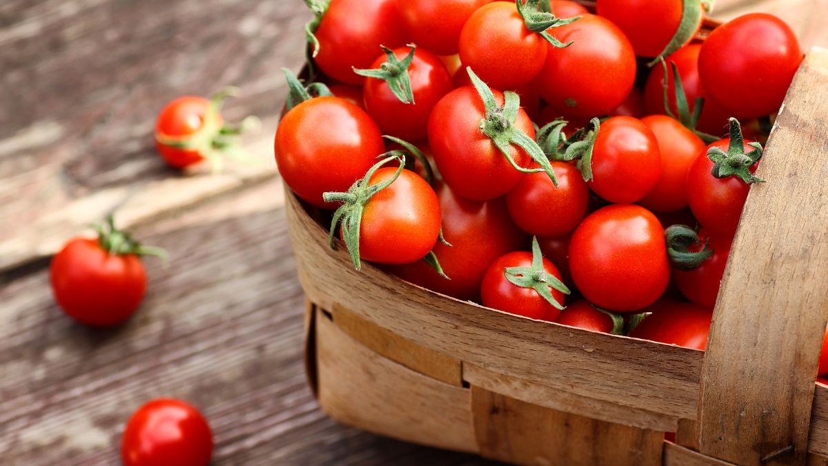 Pomidory