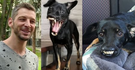Stanek chwali się psem: "Jest gwiazdą pełną gębą. Wystarczy wejść na jego Instagram!"