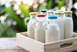 Mleko – fakty i mity. Które jest najzdrowsze?
