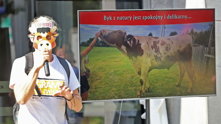 Protest w Gliwicach przeciwko organizacji rodeo w tym mieście