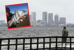 Seks ryb doprowadza Amerykanów do szaleństwa
