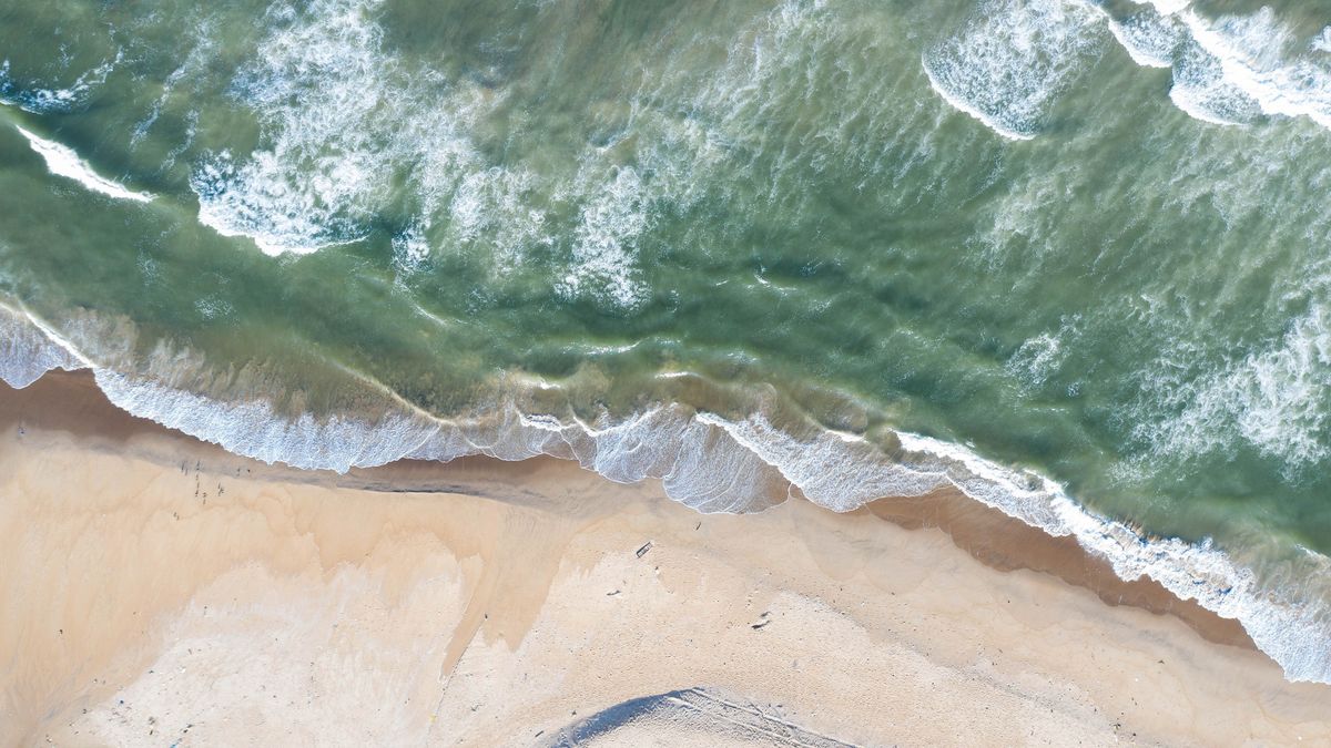 Rybę znaleziono w wodach Oceanu Indyjskiego