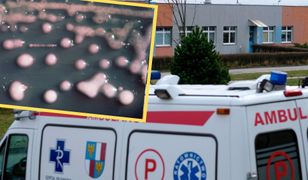 Racibórz. Bakteria New Delhi w szpitalu. Zakażeni pacjenci. Wstrzymano przyjęcia