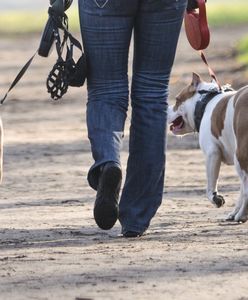Przemyśl. Nie żyje 12-latek pogryziony przez psy. Zmiana w śledztwie. Nowe informacje