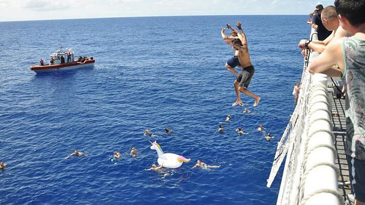 Atak rekina - nagranie