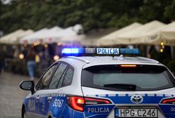 Incydent na festynie. Koń wpadł w ludzi. Ranne dziecko