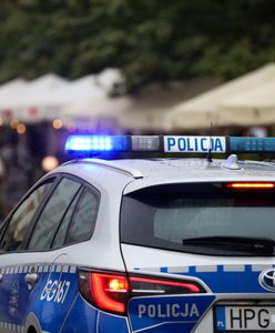 Incydent na festynie. Koń wpadł w ludzi. Ranne dziecko