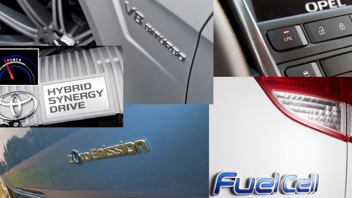 Zdjęcie ilustracyjne do artykułu